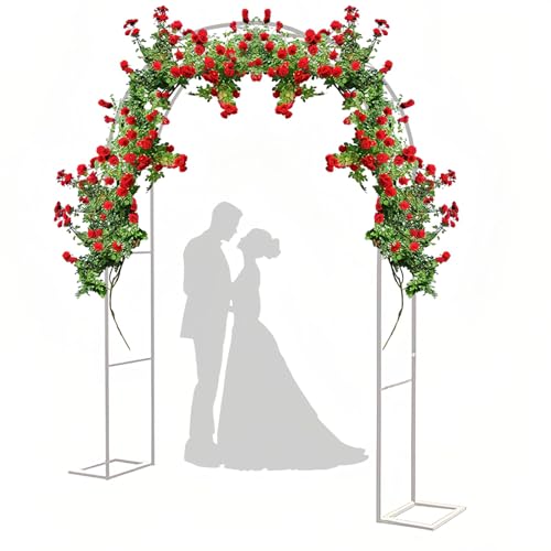 Arche de jardin en métal robuste – Tonnelle de rose en fer résistante aux intempéries avec bases stables pour plantes grimpantes – Treillis décoratif pour entrées (noir, 300 x 220 cm)