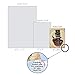 The Best Card Company - 10 Adorable Blank Cat Cards (4 x 5.12 Inch) - Cute Pet Kittens, Assorted Bulk Notecard Set - Steampunk Cats M6554OCB