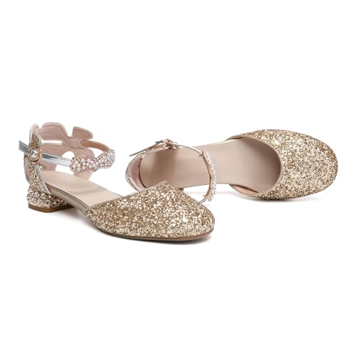AOQUNFS Girls Dress Shoes Sequin Latin Ballroom Dance Shoes Mary Jane Low Heels Wedding Party Sandals,DS-632