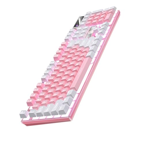 LAPYAPPE Clavier De Jeu Mécanique Rgb 104 Touches Filaire Pour Gamer, Design Bicolore Blanc Et Rose, Touches Suspendues Rétroéclairage Multicolore, Ergonomique Et Solide, Compatible Pc Et Usage Gaming