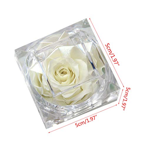DREAMDEER Fiori di Rosa stabilizzati Scatola di
