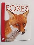 Foxes (Amazing Animals)