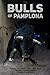 The Bulls Of Pamplona