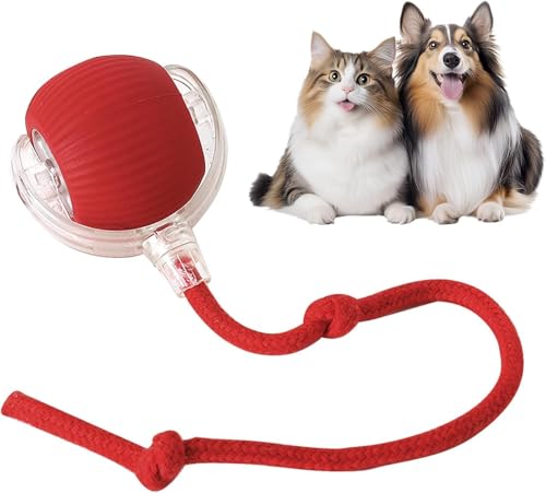 Image of ESCUCHA Interactive Cat Ball Toy with Rope Tail, Smart Rolling Ball for Indoor Cats and Dogs (Multicolor)