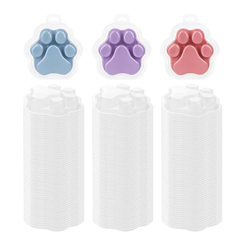 Moule de fonte de cire griffe de chat transparent vide x100