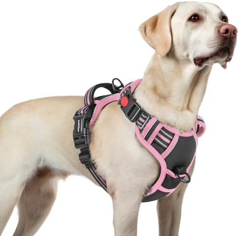 rabbitgoo Hundegeschirr Grosse Hunde Leichtes Anlegen, L, Schwarz & Rosa | Anti Zug, Ohne Kopfdurchzug, Halsverschluss mit Sicherung, 2 D-Ringe, Weich Gepolstert, Reflektierend für
