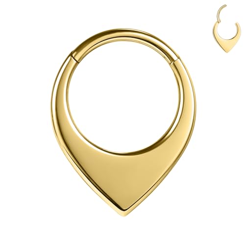 BodyAce Aro de nariz de 16 G, acero inoxidable 316L, segmento de tabique para hombres y mujeres, aretes de cartílago de luna dorada para daith, rook, tragus, Acero inoxidable, otros