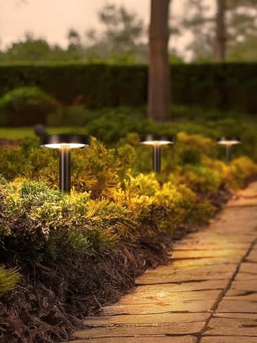 LEONLITE 2CCT Solar Powered Path Lights, 50/100% Dimmable, Auto Dusk to Dawn Landscape Pathway Lights for Sidewalk, Driveway, Garden, 2700K Soft White /4000K Cool White, IP65, 120lm, Black, Pack of 6
