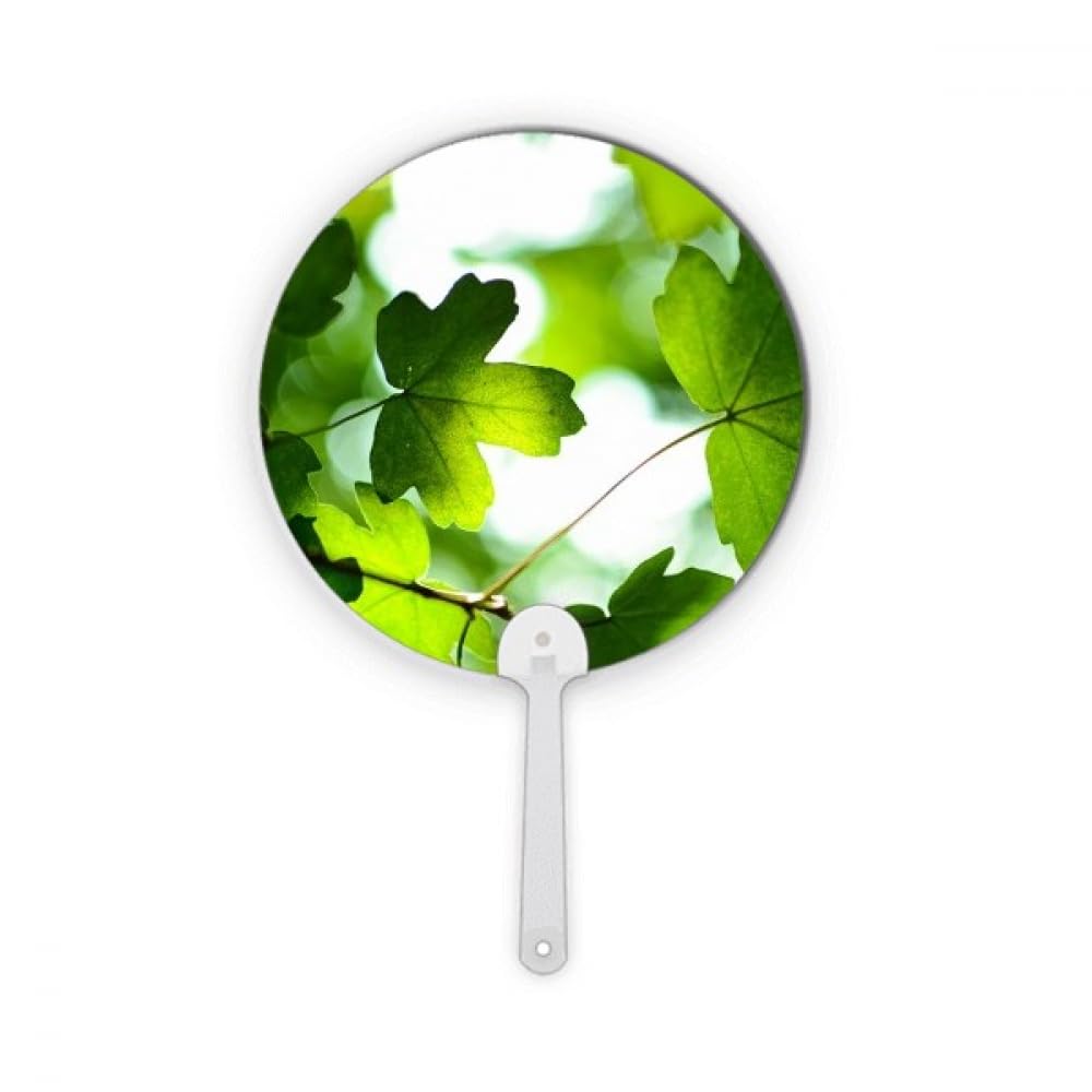 Éventail rond en plastique cadeau idéal pour passionnés de nature