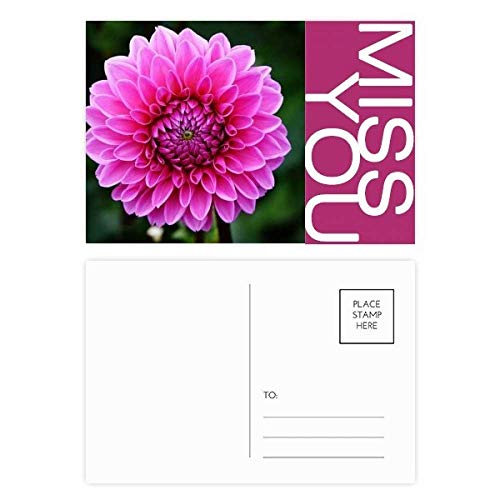 Carte postale rose et fleurs de Miss pour écrire de doux remerciements fleuris