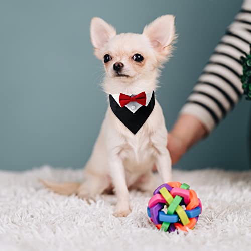 URROMA 1 pezzo rosso formale smoking bandana, cane...