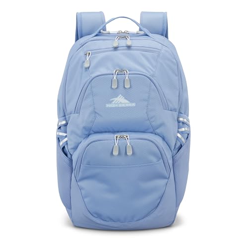 High Sierra Travel Laptop Backpack