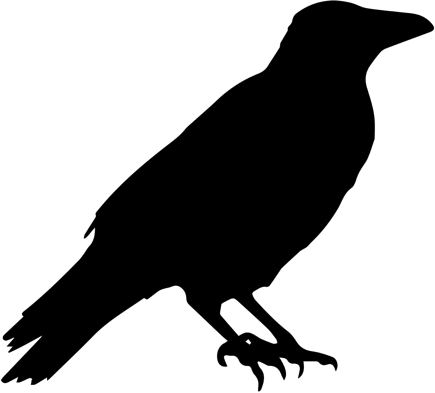Transparent Decal Stickers of Crow Raven Animal (Black) Premium Waterproof Vinyl Decal Stickers for Laptop Phone Accessory Helmet Car Window Mug Tuber
