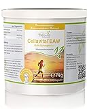 Multi-Synergie Vita Cellavital Knochen & Bewegung (EAW) Eierschalenmembran  Ackerschachtelhalmextrakt  Weihrauchextrakt - 3-Monatsvorrat - 180 Kapseln