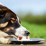 Needle Scratched Records