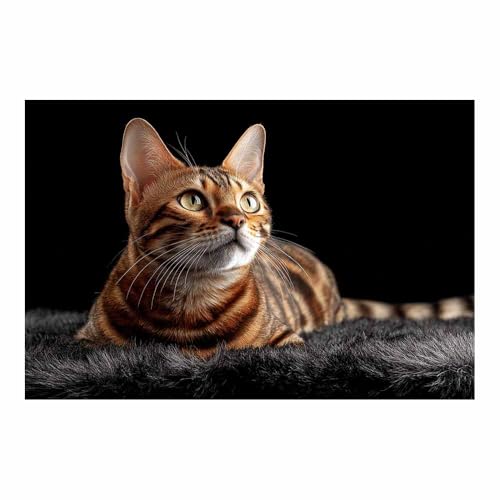 Toile murale vintage Le chat intime affiche decoration murale brun 50x70