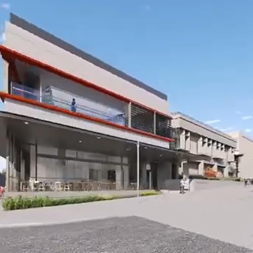 Celebrations to mark the opening of the revamped Newcastle Art Gallery begin