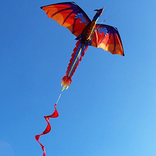 Kingjinglo Kite/Kite Accessories, New 3D Dragon Kite with Tail Kites for Adult Kites Flying Outdoor 100m Kite Line