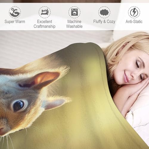Couverture plaid écureuil flanelle molleton chaud couverture lit 100x130