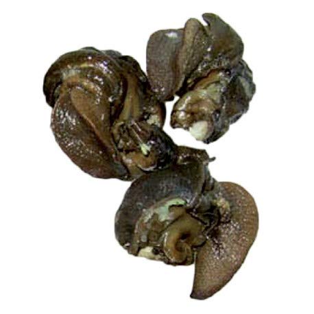 800 g de caracoles desnudos de carne de caracol lexada