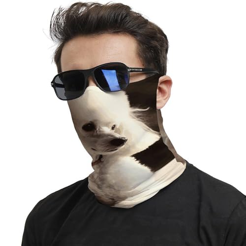Neck Gaiter French Poodle Face Mask for Travel Face Cover Scarf for Men Women Elastic Headbands Wind-proof Bandana for Skiing Fishing Hiking Cycling2