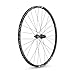 DT Swiss X 1900 Spline 25 Rear Wheel - 29