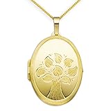 Mit schönem Lebensbaum-Motiv / mattiert - Vorderseite teil-mattiert/ Rückseite mattiert - Zum Öffnen für Bildereinlage/ 2 Fotos