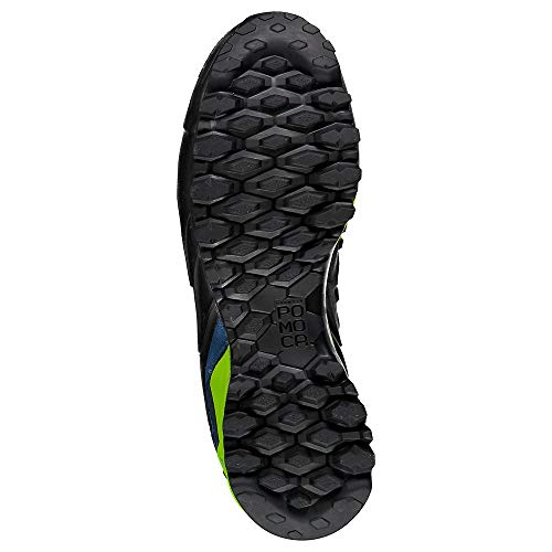 La Mejor review de Comprar cactus los 10 mejores. 30 Imagen adicional