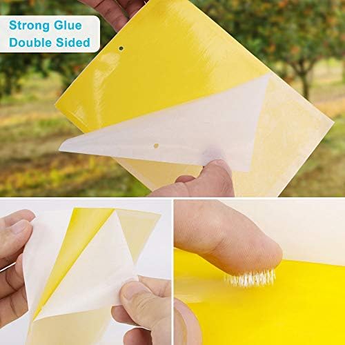 E-KNOW Fruit Fly Traps (40 Pack), Double-Sided Yellow Sticky Traps, Gnat Traps for Kitchen & Plants, Fruit Fly Killer - Sticky Gnat Trap Indoor Outdoor Solution