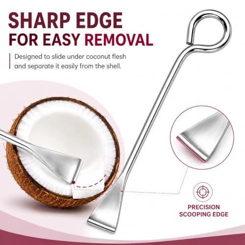 Image of Coconut Slicer 1 Pc, Stainless Steel Coconut Flesh Remover, Manual Coconut Scraper Tool for Easy Removal of Coconut Meat from Shell, Kitchen Tool