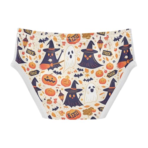 visesunny Boys Potty Training Underwear Hat Ghost Broom Breathe Cotton Briefs Size 2T-8Y for Toddler2