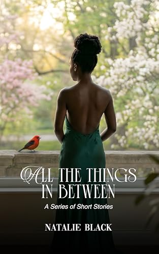 All The Things in Between : A Series of Short Stories