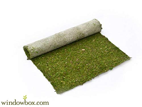 Windowbox Preserved Green Moss Roll - 5 ft W x 8 ft L