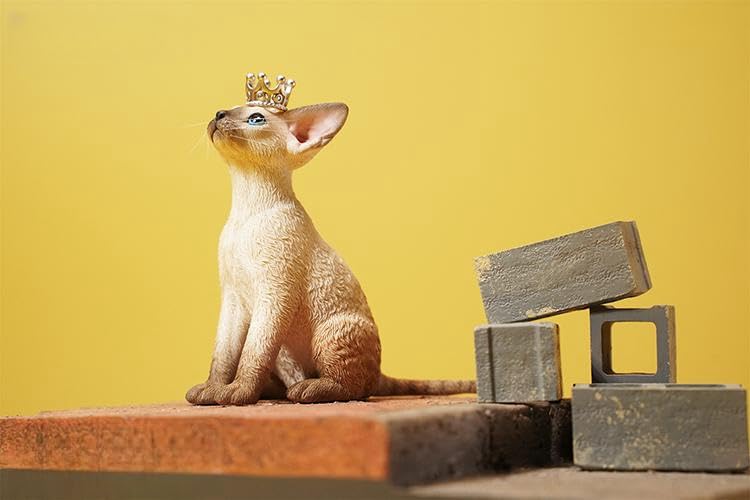 Modèle Devon Rex AMITD 1:6 figurine chat résine statuette Felidae JXK123B5