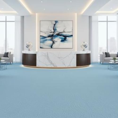 Image of FC Texture-2-Sky-Blue Carpet Luxurious Feel Floring for Residential, Commercial Office & Home and Sound Absorbing Durable Easy Clean Low Maintenance for High Traffic Areas