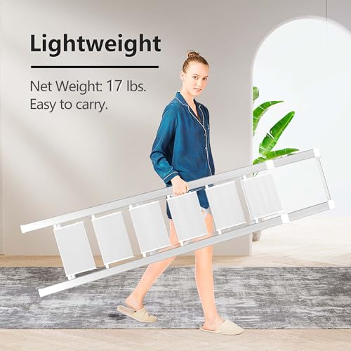 image for GameGem 6 Step Ladder for 12 Feet High Ceiling, Lightweight Aluminum F