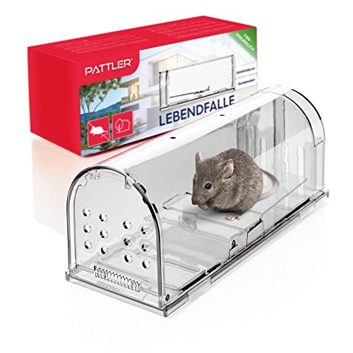 PATTLER® Mausefalle lebend - Extra große Lebendfalle Maus | Tierfreundlich Mäusefalle | Ratten oder Kleintiere Fangen - mit Luftlöchern | Einfache Aufstellung im Haus, Garage oder Garten - Transparent