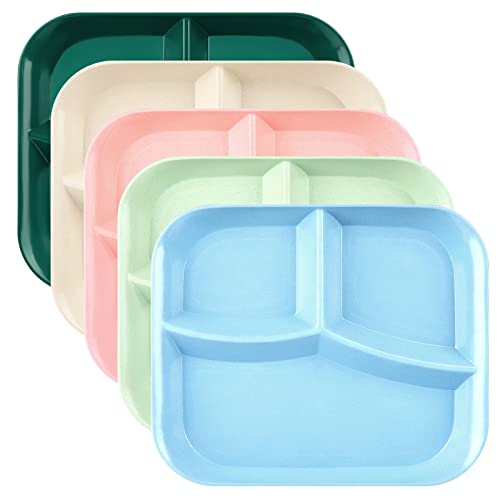 Dlf. Donglinfeng Adult Compartmentalized Dinner Plates 5-Piece Set Unbreakable Portion Control Wheat Plastic Dinner Plates (Compartmentalized Plates/Picnic Plates) 10-Inch #TOP9