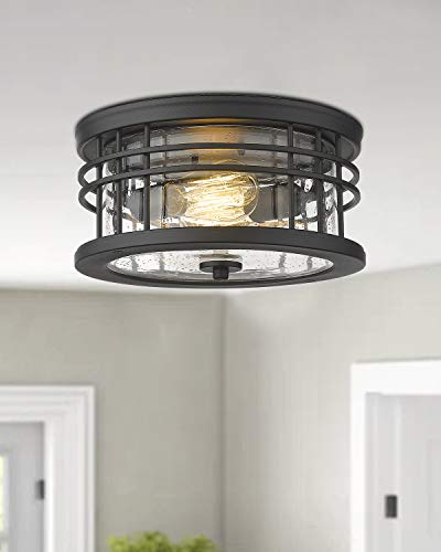 Image of zeyu 2-Light Flush Mount Ceiling Light for Hallway, 12 Inch, ZW01-F BK