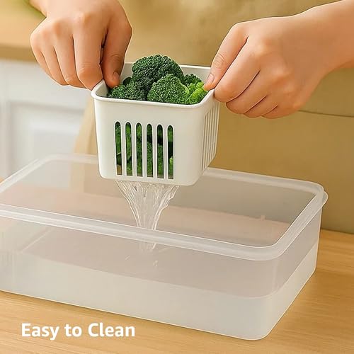 Image of Amazon Brand - Solimo Plastic Fridge Containers Set | 6-Grid Airtight Refrigerator Storage Boxes with Lids | Freezer & Kitchen Organizer (Pack of 2, White)