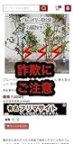 トゲなし ラズベリー苗 グレンアンプル グレンモイ 5号鉢 2年生