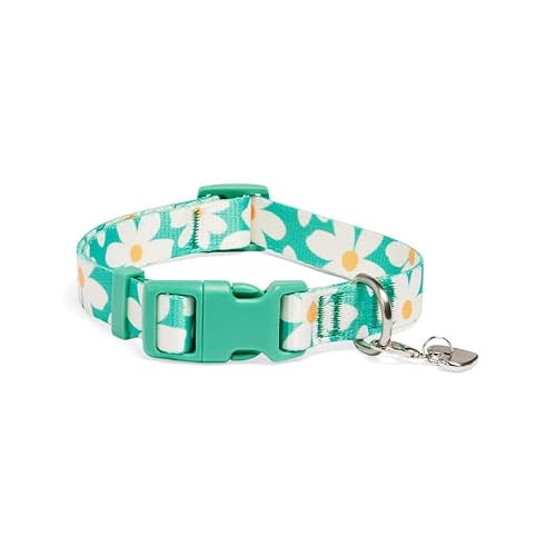 YOULY Daisy Dog Collar Large
