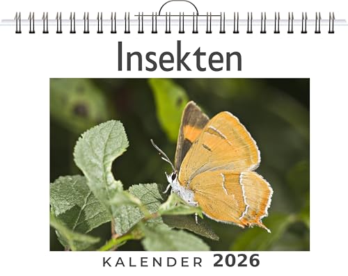 Insekten: (Wandkalender 2026, Kalender DIN A4 quer, Monatskalender im Querformat mit Kalendarium, das perfekte Geschenk)