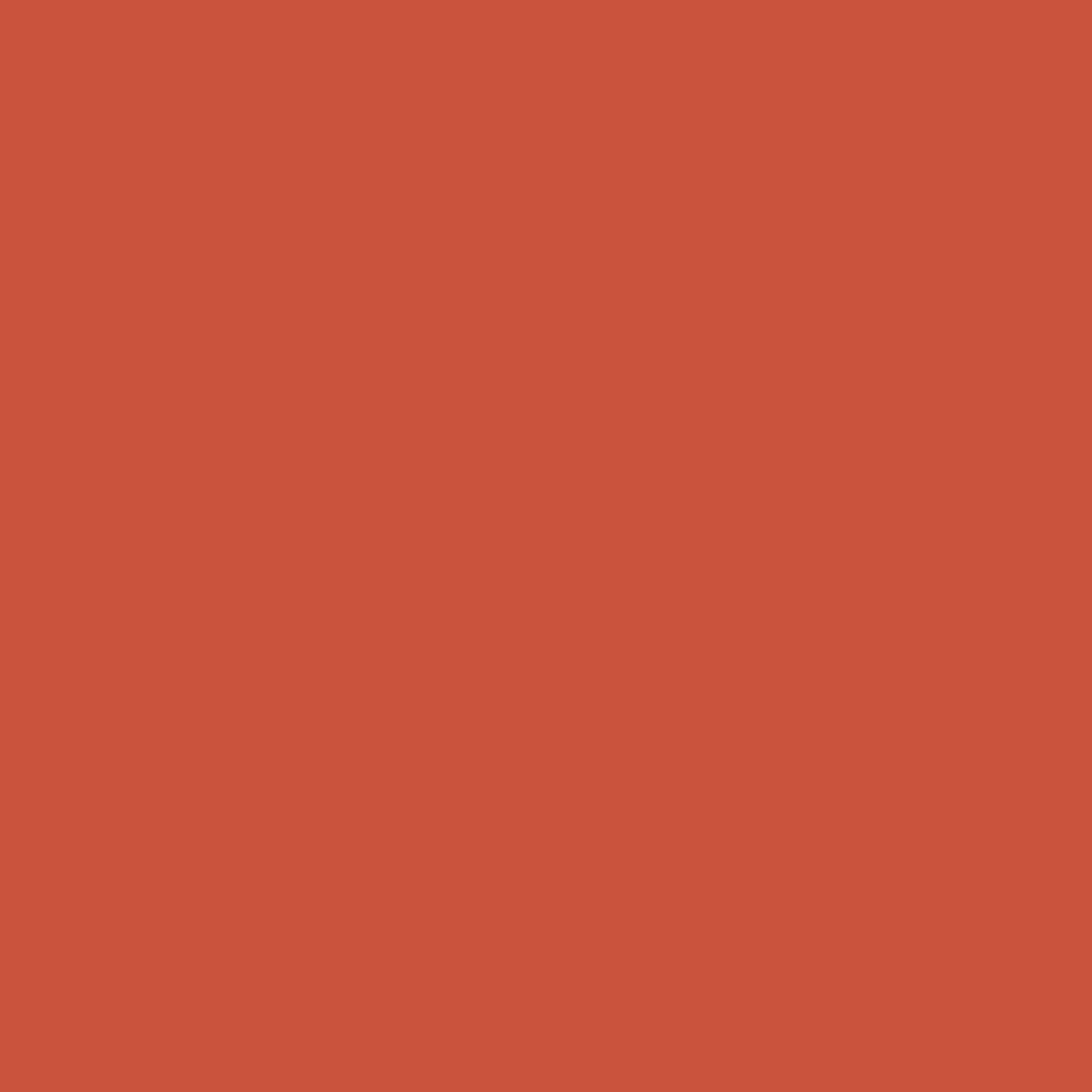 Ma Couleur Sur-mesure par Dulux Valentine – Peinture Intérieure Murs, Plafonds, Boiseries - Facile à appliquer - Mat Orange Sanguine 5 L