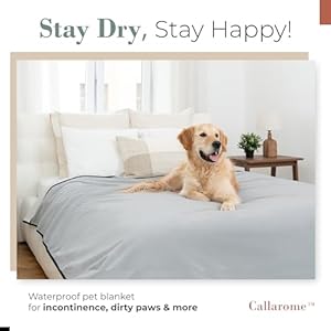   Waterproof-Blanket-for-Bed-Enjoy-Intimacy-Peaceful-Cherished-Love-Moments-Fleece-Blanket-Waterproof-Dual-Tone-WarmCool-Gray-Perfect-for-Couples-Adults-PetsDogs-80x90