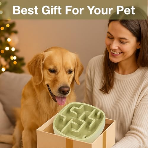 Image of Slow Feeder Bowl | Square Maze Food Bowl for Dogs and Cats | Anti Choking Puzzle Bowl | Anti Slip Interactive Feeding Dish | Durable & Easy to Clean | Anti Bloat and Aids Digestion (Green)