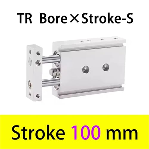 Vérin pneumatique TR32 double axe et tige course 100mm avec aimant intégré