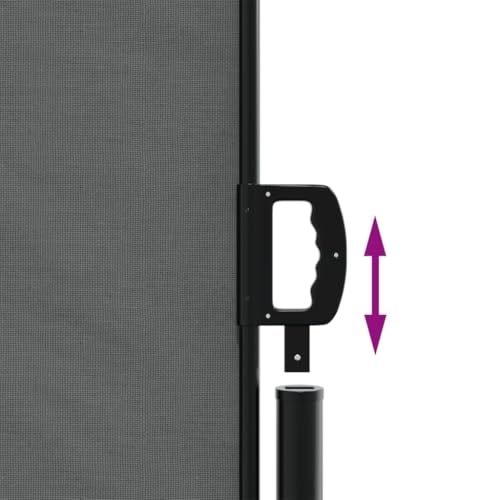 Auvent latéral rétractable anthracite 180x1200 cm aux finitions soignées