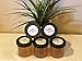 5 PACK - 32oz My Gold Sugar - Sugaring for Hair Removal (Soft)