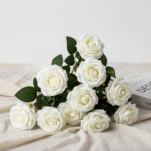 Vixplorn  o 10{Zbg VNt[ ԑ tFCNt[  ̓  a w p Ԍa7cm*50cm zCg